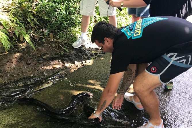 4x4 Moorea Safari Tours : With Hotel transfers - Introduction