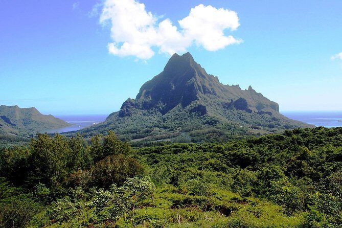 4x4 Moorea Safari Tours : With Hotel transfers - FAQ