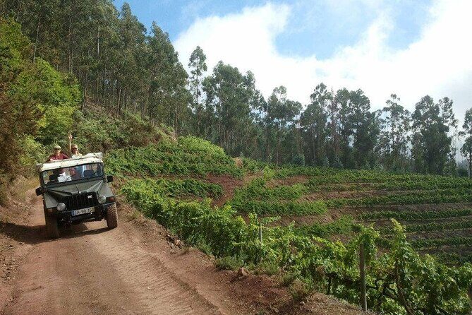 4x4 Safari Half day Poncha, Mountains, Vineyards and Cabo Girão Small group - The Itinerary Breakdown: What to Expect
