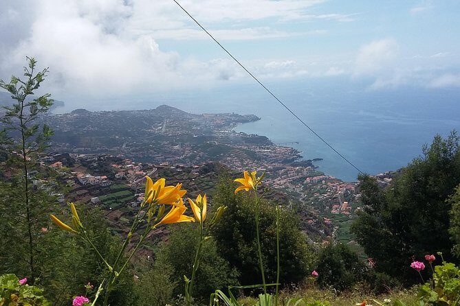 4x4 Safari Half day Poncha, Mountains, Vineyards and Cabo Girão Small group - Practical Tips for Your Safari Adventure