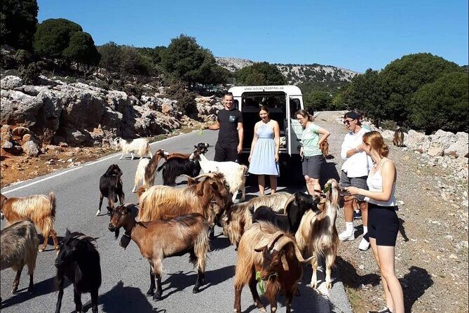 4x4 Safari Tour South Crete Agiofarago Matala - Key Points
