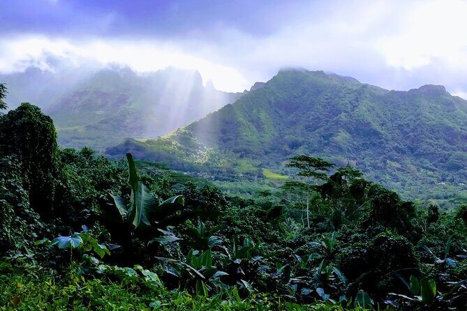 4x4 Tour  Culture, Crafts and Agritourism in Raiatea - In-Depth Look at the Raiatea 4x4 Tour