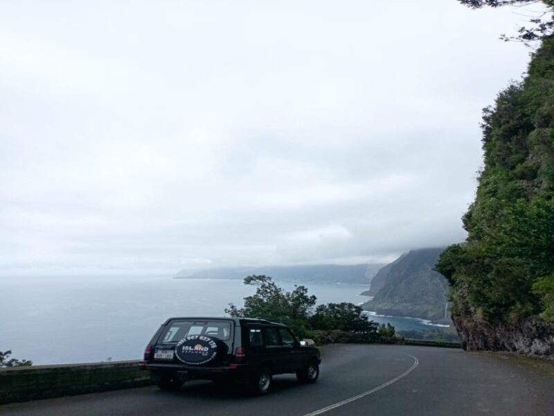 4x4 Tour Half Day Wine Tour - An In-Depth Look at the Madeira 4x4 Half Day Wine Tour