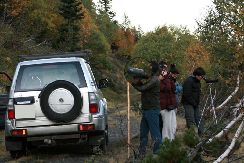 4×4 tour of the Aran Valley - Wildlife, flora and alpine landscapes - Exploring the Tour: A Deep Dive