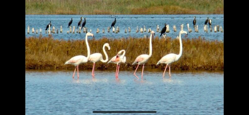 4X4 tour of the Secret Beaches of Melides - Final Thoughts