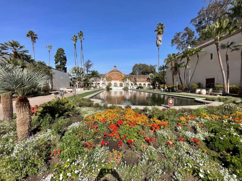 5 1/2 Hour Private Tour of San Diego in a Lexus ES300H - Authentic Experiences and Real Value