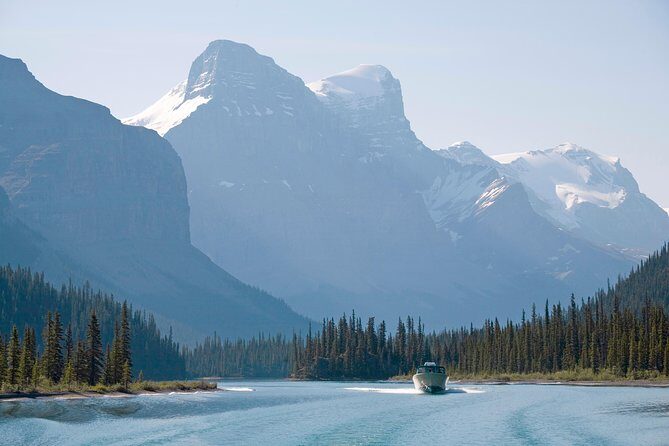 5.5-Hour Jasper Wildlife and Waterfalls Tour with Maligne Lake Cruise from Jasper - Wildlife Spotting: A Highlight for Many