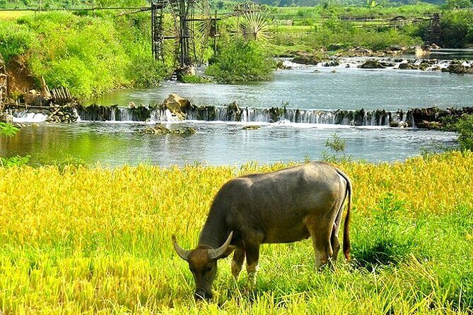 5, 6, 7 day Vietnam Itinerary | Charming | 2025 Northern Packages - Exploring the Value: What It Means for You
