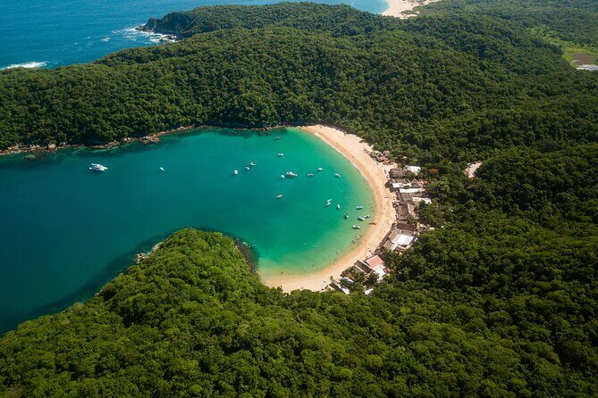 5-Bay Exclusive Premium Panga Experience - What to Bring and Additional Tips