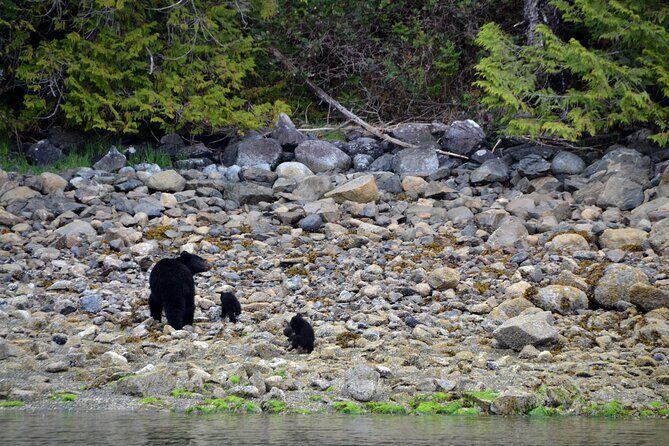 5-Day Adventure Tour in Vancouver Island Exploration - Final Thoughts