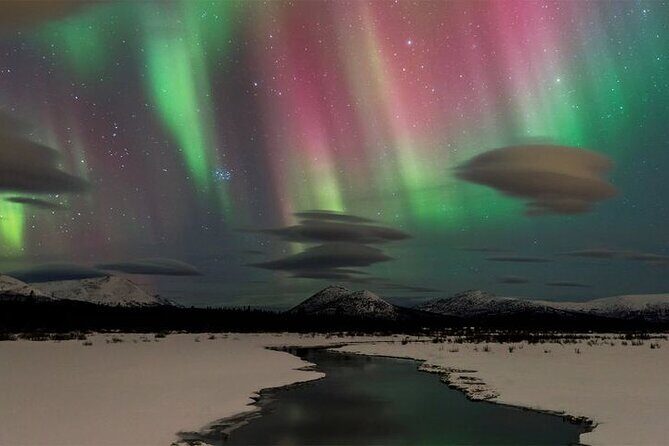 5-Day Aurora Viewing Tour from Whitehorse, Canada - Insights from Traveler Feedback
