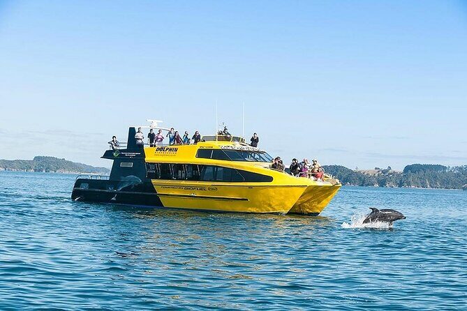 5-Day Bay of Islands, Auckland, Hobbiton, Rotorua & Waitomo Tour - Key Points