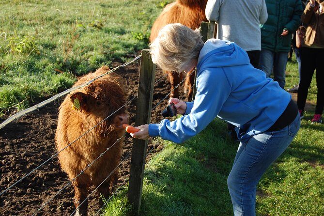 5-Day Best of Scotland Tour from Edinburgh - What’s Included and What to Consider