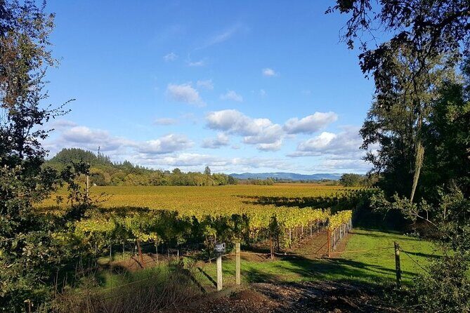 5 day California Vineyards, Waves and Wine small group tour - Who Should Consider This Tour?