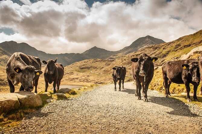 5-Day Discover Wales Small-Group Tour from London - Final Thoughts