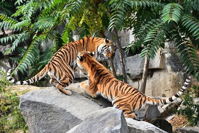 5-Day Golden Triangle with Ranthambore & Bharatpur Tour - Who Is This Tour Best For?
