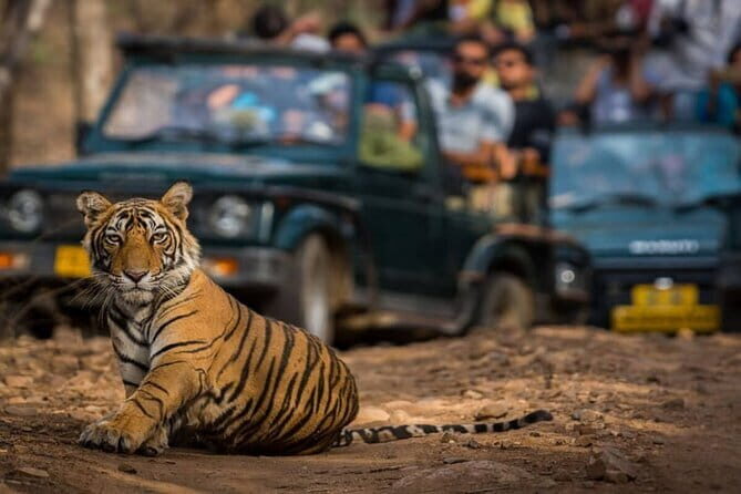 5-Day Golden Triangle with Ranthambore & Bharatpur Tour - Final Thoughts