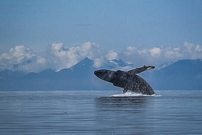 5 Day Jetski Expedition: Southeast Alaskan Adventure from Juneau - Who Should Book This Experience?