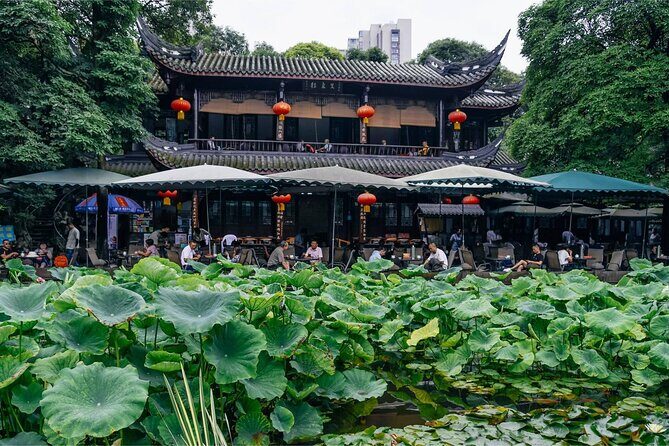 5 Day Natural Panda Paradise Tour in Chengdu - Introduction: Why Consider This Tour?