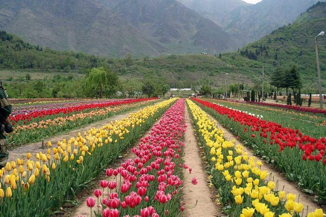 5 Day Paradise Kashmir Tour - FAQs