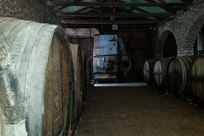 5-Day Peloponnese Greece Adventure - Who Is This Tour Best For?