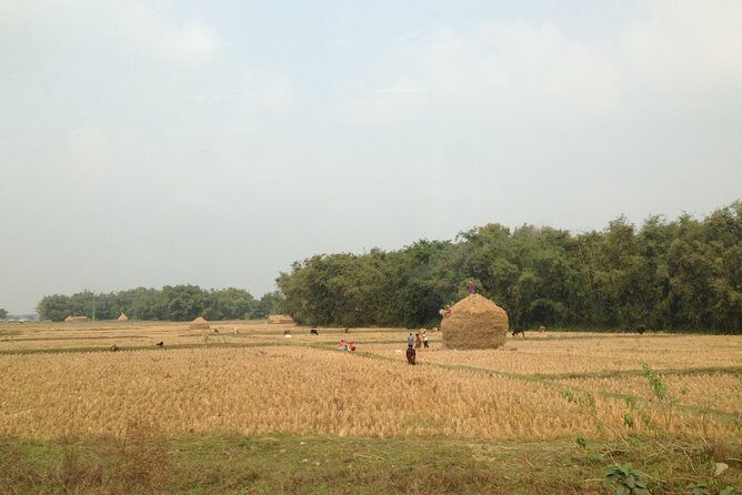5-Day Private Farming Experience in Nayapul with Accommodation - A genuine glimpse into Nepal’s farming traditions with this 5-day private experience in Nayapul