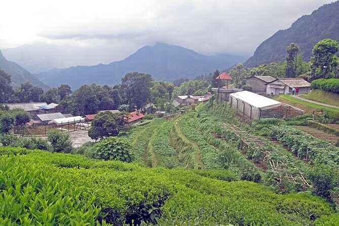 5-Day Private Farming Experience in Nayapul with Accommodation - Key Points