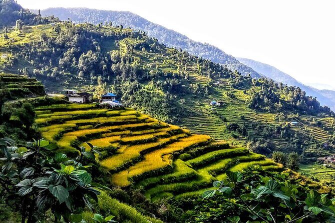 5-Day Private Farming Experience in Nayapul with Accommodation - FAQ