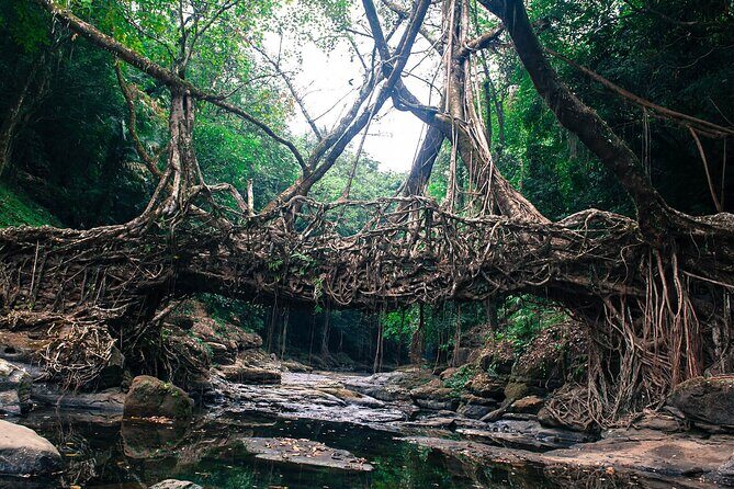 5-Day Private Tour in Meghalaya with Meals and Accommodation - What Makes This Tour Stand Out
