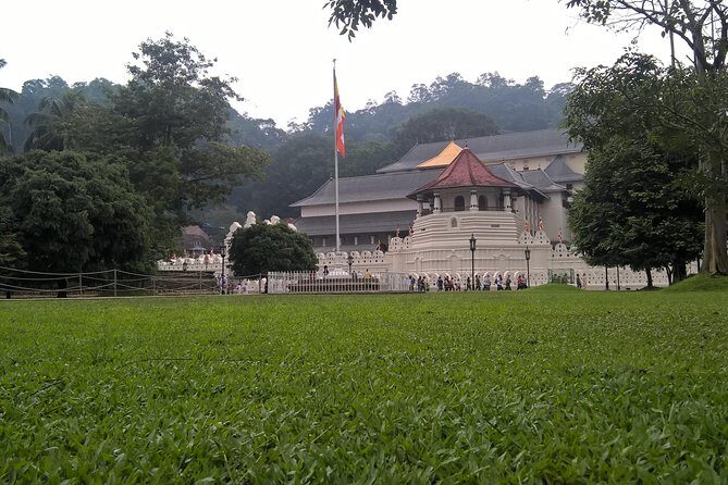5 Day Private Tour Sri Lanka - The Practical Side: What to Expect