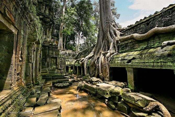 5-day Siem Reap deep into Angkor complex temples - Final Verdict