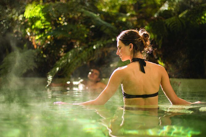 5 Day South Island Circut: Trains, Glaciers and Milford Sound from Christchurch - Exploring the Itinerary in Depth