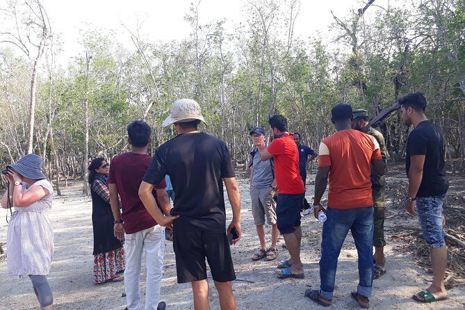 5-Day Sundarban Tour: The Wild Life Adventure - Introduction to the Sundarbans Tour