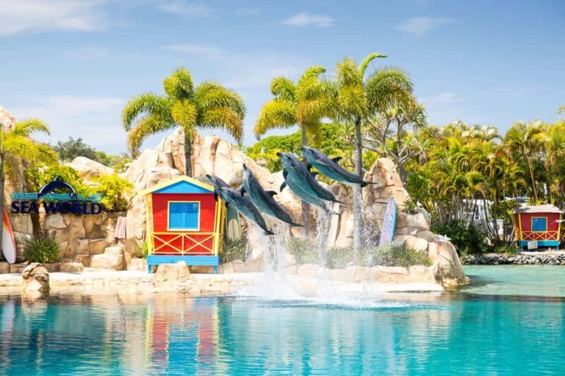 5-Day Theme Park Pass & Sea World Cruise Combo Ticket - A Practical and Balanced Look at the Experience