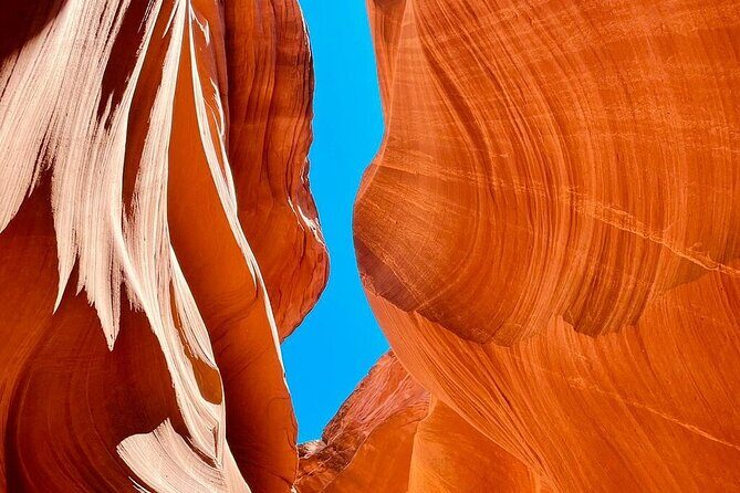 5 Day Tour L. Angeles Las Vegas Yellowstone & Grand Teton from LA - The Sum Up: Who Should Consider This Tour?