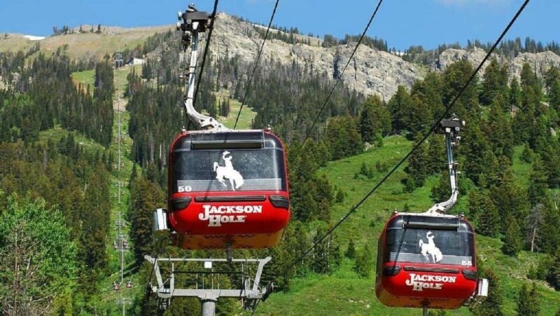 5-Day Tour: LA, Vegas, Antelope Canyon & National Parks - Transportation and Comfort