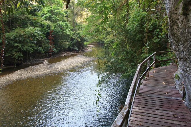 5 Days 4 Nights Mulu Showcaves with Headhunter Trails - Day 2: Caves and Jungle Trekking