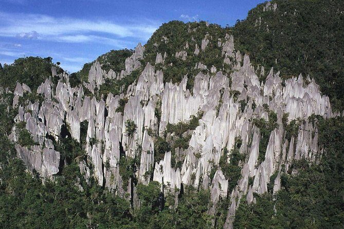 5 Days 4 Nights Mulu Showcaves with Headhunter Trails - Day 5: Return Journey