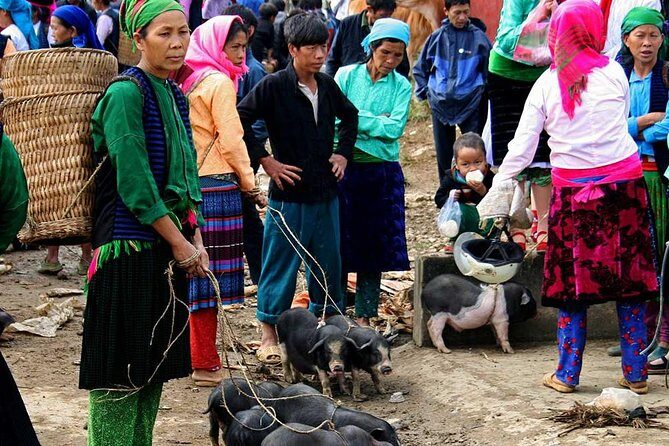 5 Days - Adventure Ha Giang - Ban Gioc Waterfall from Hanoi - The Itinerary: A Deep Dive