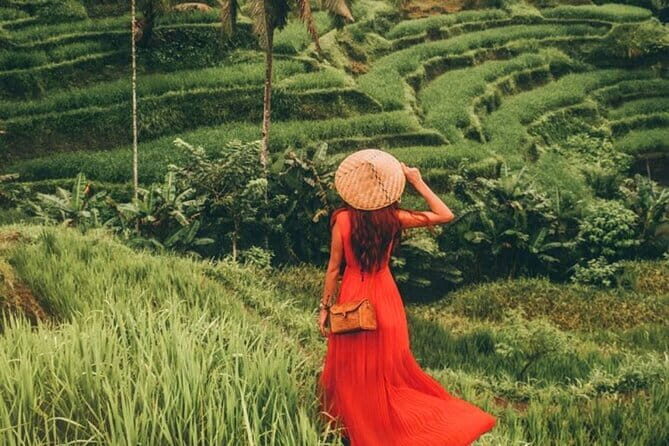 5 Days Bali Tour Nature, Culture & Adventure - Key Points