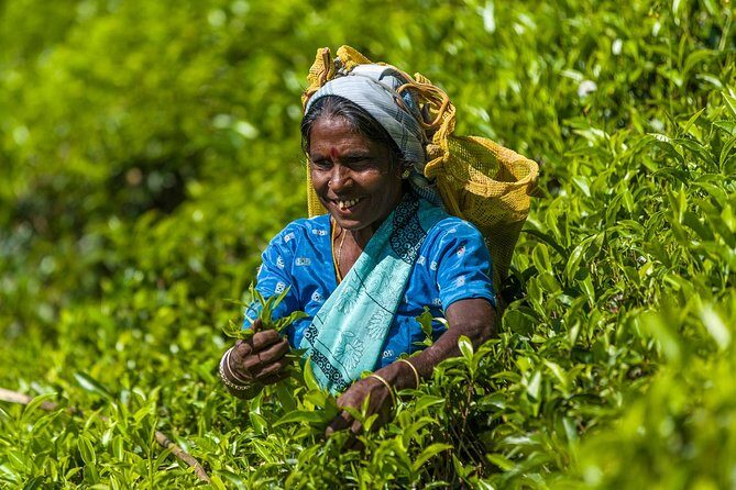 5 Days Bangladesh Tour - Dhaka - Sonargaon - Srimangal - Why This Tour Offers Great Value
