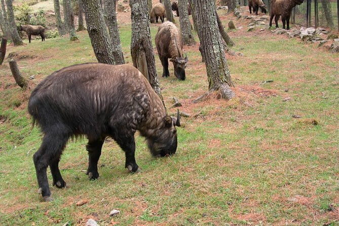 5 Days- Bhutan Cultural Tour - What’s the Value Like?