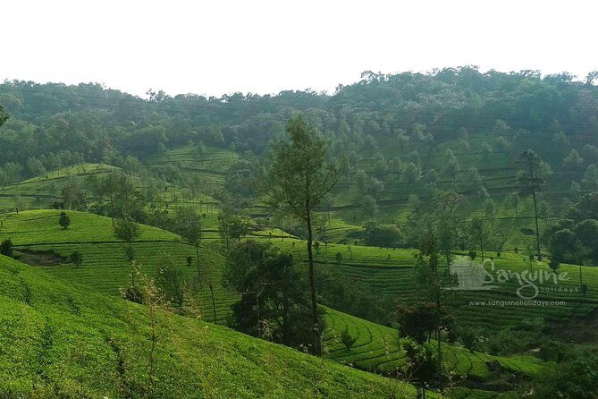 5 Days Budget Kerala Tour Packages by Sanguine Holidays - Day 1: Scenic Waterfalls En Route to Munnar