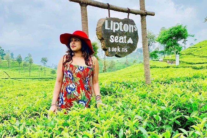 5 DAYS BUDGET TOUR package in Sri Lanka - A Deep Dive into the 5-Day Sri Lanka Tour