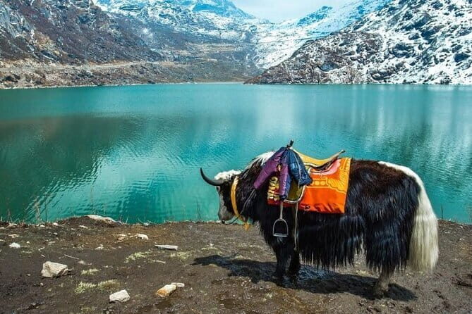 5 Days Darjeeling Sikkim Tour - What We Love About This Tour