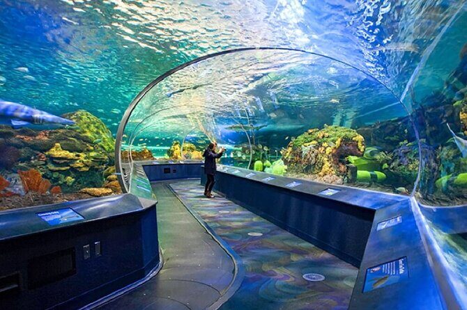 5 Days Eastern Canada Tour from Toronto - Who Will Enjoy This Tour?