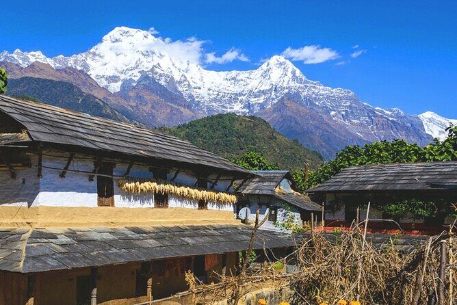 5 Days Ghorepani Poonhill Trek - A Detailed Look at the 5-Day Ghorepani Poonhill Trek
