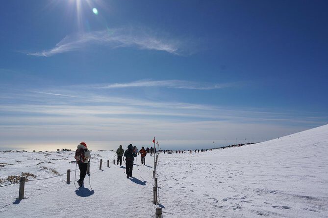 [5-days Jeju] Private Customized Hiking(Hallasan & Olle Course) with Mountaineer - Uncovering Jeju’s Natural Wonders: A 5-Day Private Hiking Tour Review