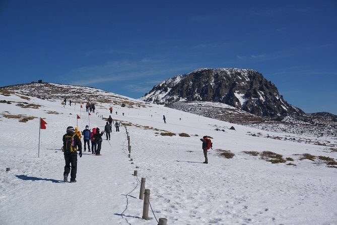 [5-days Jeju] Private Customized Hiking(Hallasan & Olle Course) with Mountaineer - The Sum Up: Who Is This Tour Best For?
