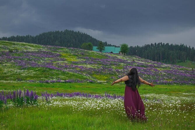 5 Days Kashmir Beauty Tour with Accommodation and Transport - Exploring the Itinerary in Detail